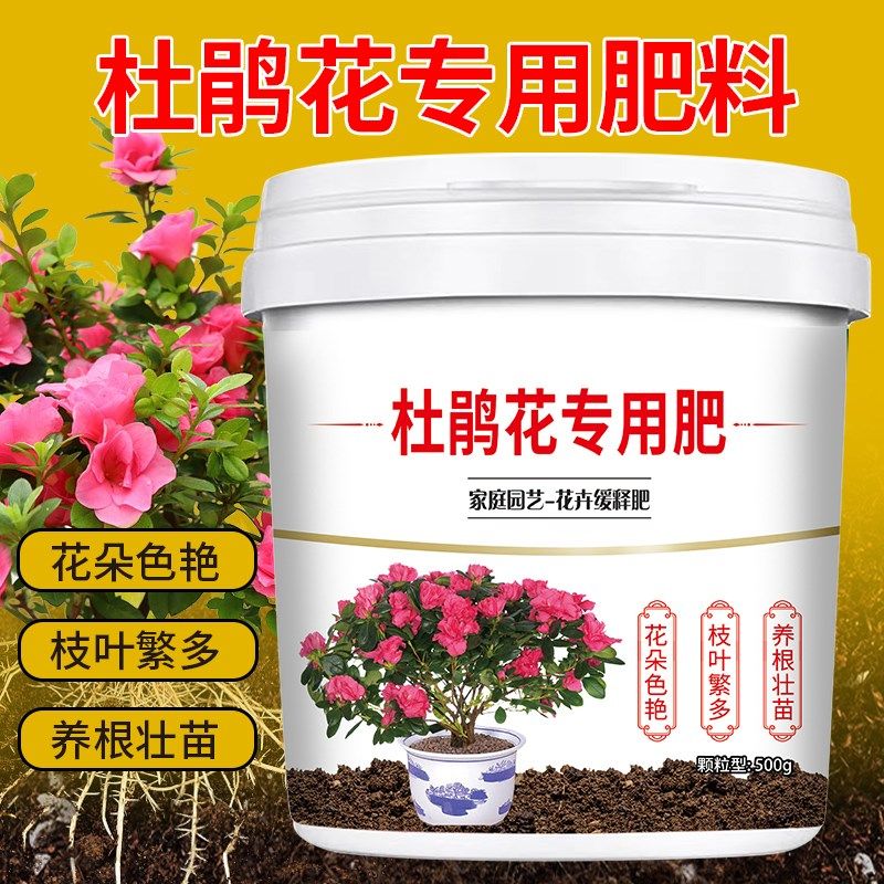杜鹃花专用肥增根壮苗促花期颗粒缓释型生物菌肥全营养易吸收盆栽,鲜花速递/花卉仿真/绿植园艺,家庭园艺肥料,淘宝优惠券,粉丝福利购,淘宝优惠卷