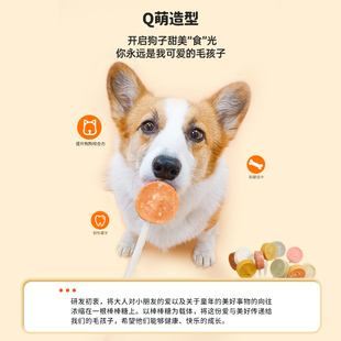 日和优宠棒棒糖狗狗零食磨牙棒耐咬训犬奖励泰迪宠物零食喜利汪汪