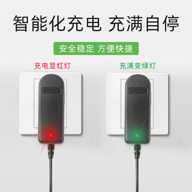 4.2V 8.4V2A 12v12.6V16.8V21V25.2V1A车充 点烟器电源车载充电器