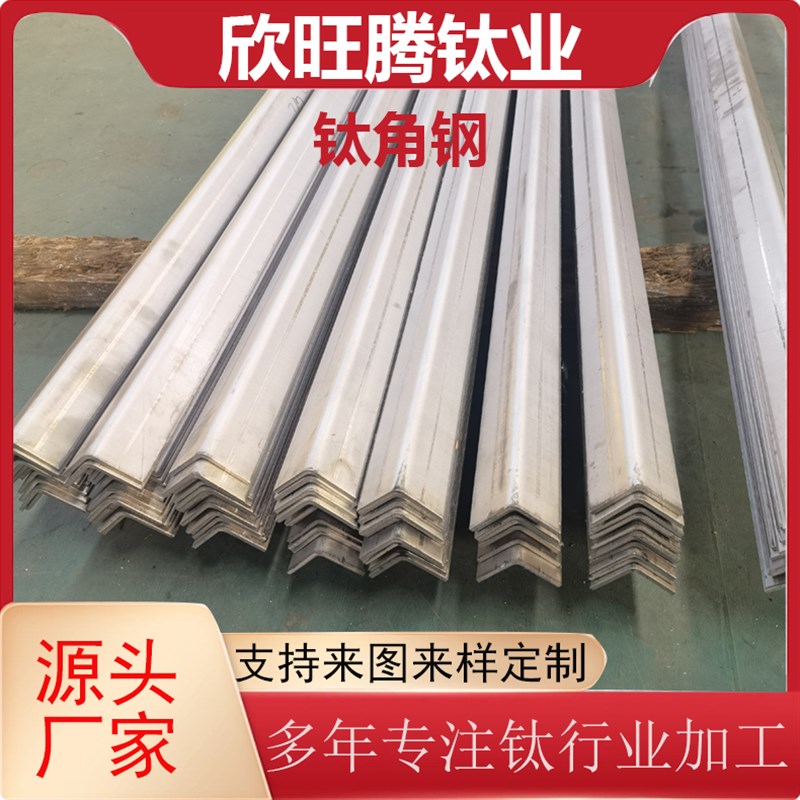 TA2角钢  化工设备钛支撑条  L型等边钛角铁  TA2钛槽钢