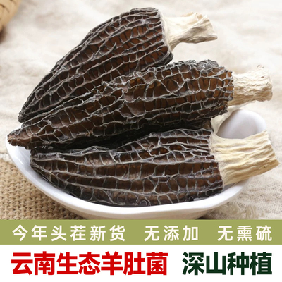 云南特产羊肚菌干货新鲜头茬羊肚菇煲汤食材羊肚蘑牛肚菌类羊肚