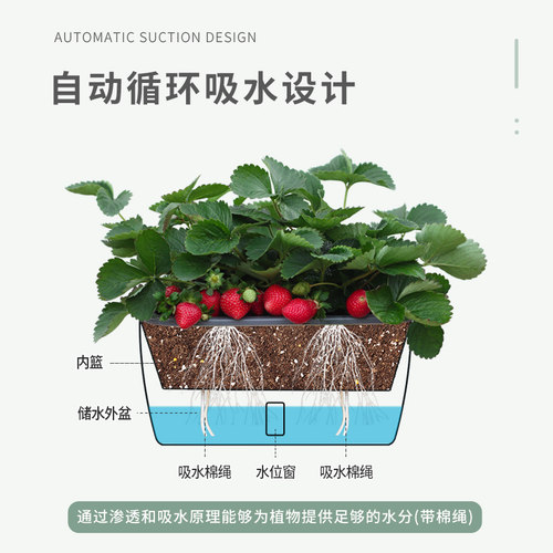 花盆阳台种菜专用箱长方形花盆家用自吸水塑料果蔬花卉草莓种植箱