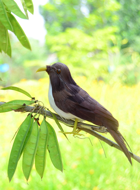 仿真麻雀小鸟羽毛麻雀灰色羽毛小鸟装饰拍摄道具假树装饰