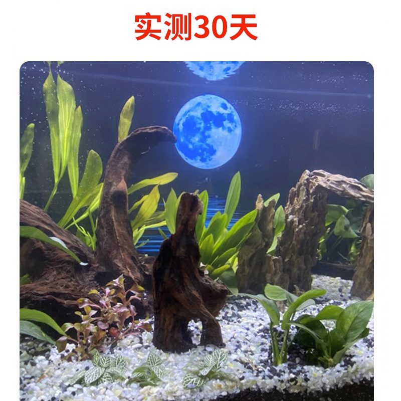 骨架胶造景水草胶水粘大理石鹅卵石假山石头沉木海水珊瑚鱼缸