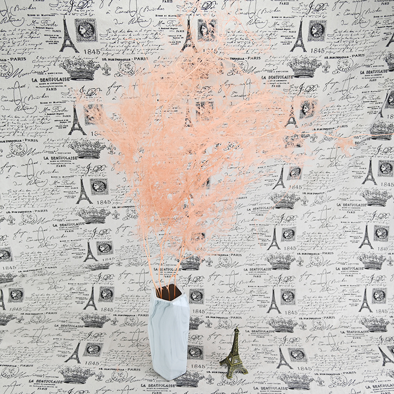 幻花永生花龙须草文竹天门冬干花diy材料七夕生日婚礼情人节求婚