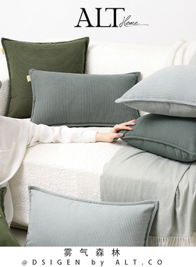 端灯绒沙发抱枕含客厅蓝色靠垫靠背床头飘靠枕正方形