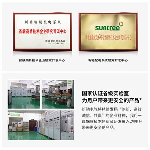 新驰浪涌保护器避雷器遁形光伏交流电涌防雷保护器