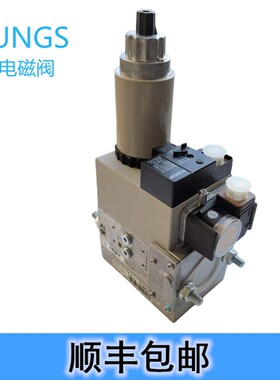 DUNGS双电磁阀MBZRDLE407B01S20 MBZRDLE412B01S50 MBDLE420B01