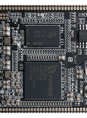 紫光同创国产FPGA开发板邮票孔核心板PGL22G替代小梅哥AC608 DDR3