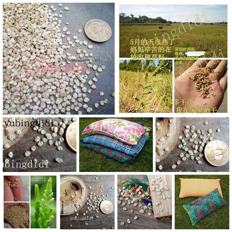 特惠童年回忆奶奶枕头稗草籽填充枕芯颗I粒状败草籽柔软舒适3斤装