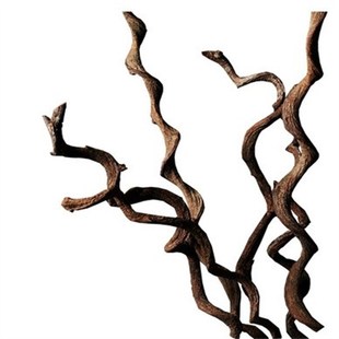 过江龙干树枝藤条宠物爬藤家居插配材民宿手工挂画鱼缸造景