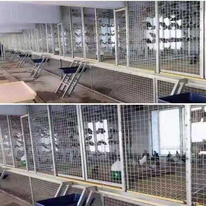 大孔镀锌铁丝网玉米网养鸡护栏网围墙防护隔离铁网5厘米孔电焊网