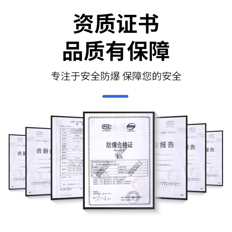 防爆断路器2P防爆空气开关BDZ52-3P 10A-63A一体式防爆开关空开