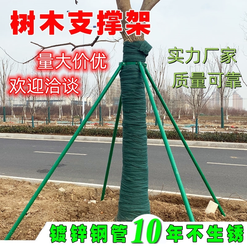 树木支撑架烤漆镀锌钢管园林绿化行道乔木支撑杆大树铁抱箍固定器