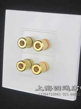 多媒体插座 五孔电视音响音频吸顶喇叭墙壁插座声道