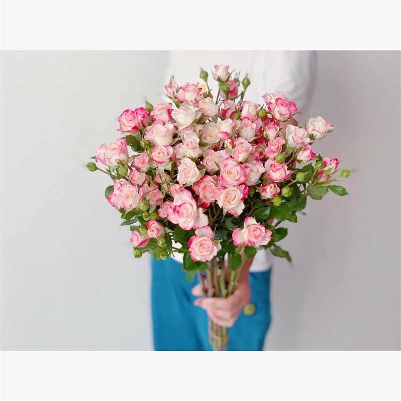 多头白色粉色折射玫瑰鲜花花束家用水养云南直发教师节鲜切礼品