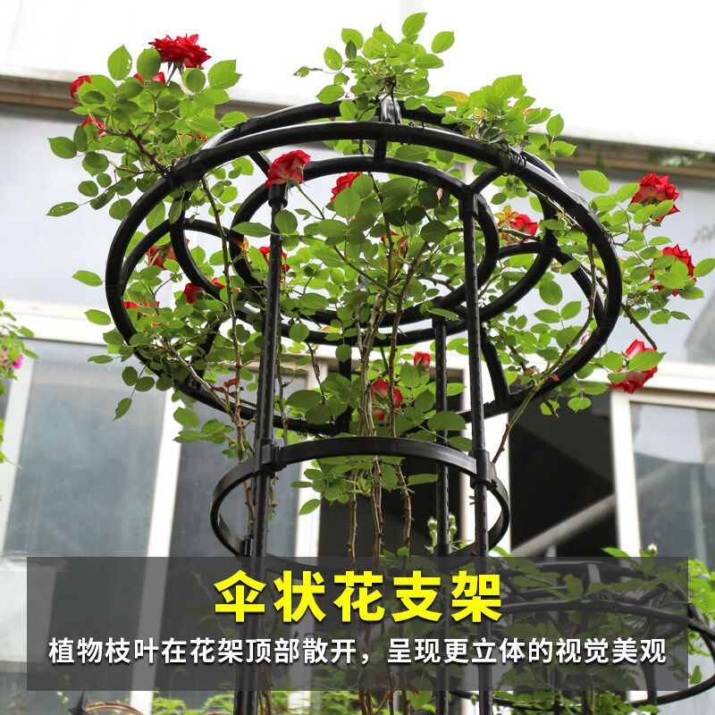 园艺植物爬藤架月季铁线莲蔷薇攀爬伞形花架绿植花卉支撑杆固定架