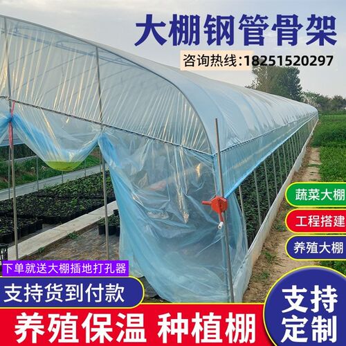 蔬菜大棚养殖全种植温室家用养猪养鸡棚羊棚钢管牛棚骨架
