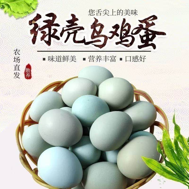 正宗农家谷物散养新鲜绿壳乌鸡蛋月子富硒蛋土鸡蛋果园五黑鸡现捡,水产肉类/新鲜蔬果/熟食,鸡蛋,淘宝优惠券,粉丝福利购,淘宝优惠卷