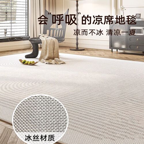 德国客厅地毯2i024新款轻奢高级感夏天家用大面积加厚猫抓防滑垫