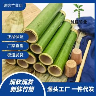 新鲜竹筒粽子模具家用竹桶饭蒸制作做的摆摊商用现专用糯米饭神器