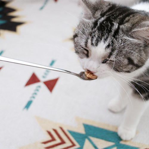 不锈钢猫咪多功能罐头勺狗狗湿粮餐具猫布丁零食勺长柄宠物拌餐勺