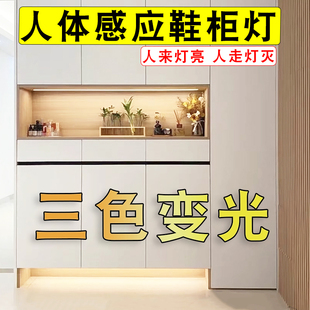 入户玄关鞋柜感应灯带人体感应三色调光220V插电接线柜底部线条灯