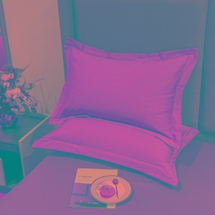 100支磨毛长绒棉纯棉枕套一对装 加厚全棉48cmx74cm加绒枕芯套复古