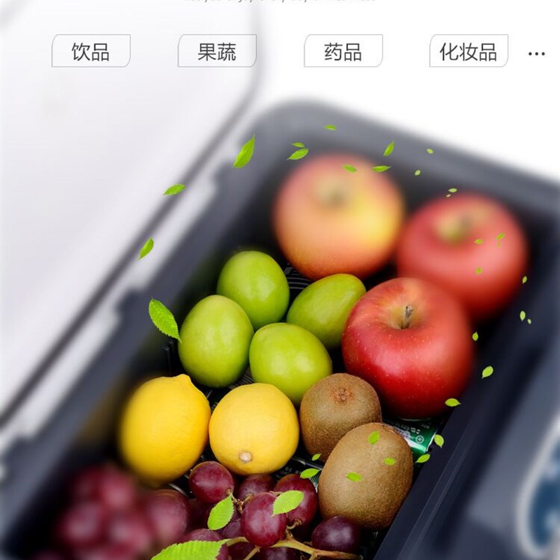 车载冰箱车家两用制冷加热12V24v通用大货车汽车小型母乳冷藏暖箱