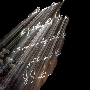 新款婚庆铁艺丁达尔效应背景灯箱韩式婚礼舞台背景灯光道具摆件灯