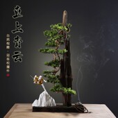 招财树客厅电视柜办公室桌面迎客松装 饰创意家居饰品工艺品