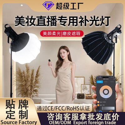 摄影光灯拍深补直播打光COB专业抛灯拍摄主播专用300WLED灯拍照