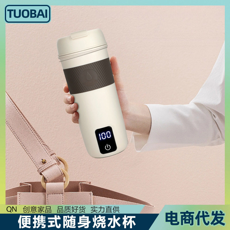 美规110V国标欧规英规220V便携式随身烧水杯多段调温电热杯加热杯
