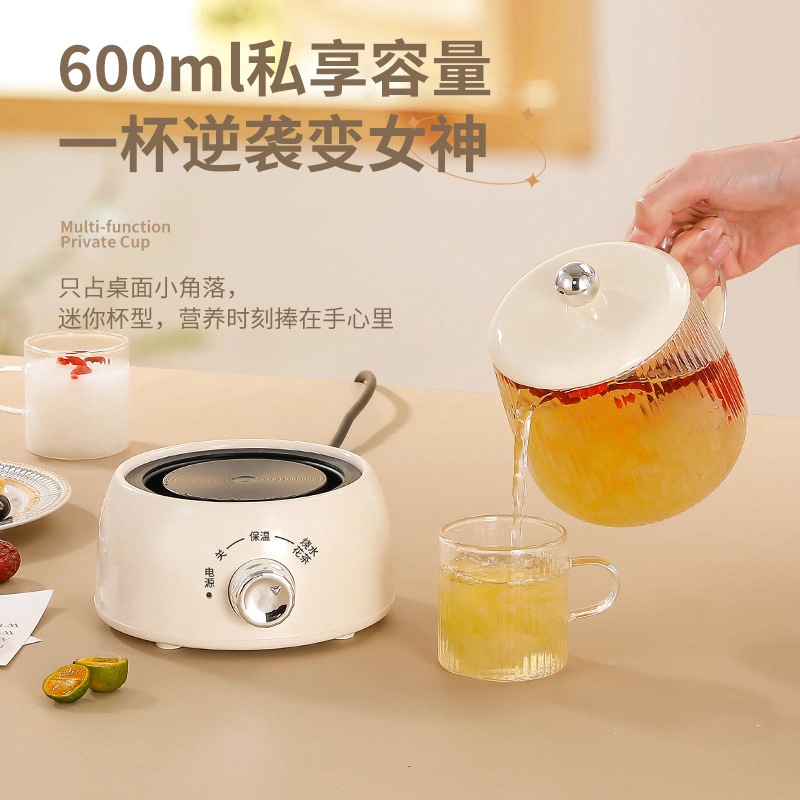 迷你养生壶小型办公室一人多功能家用烧水花茶壶养生杯电炖杯