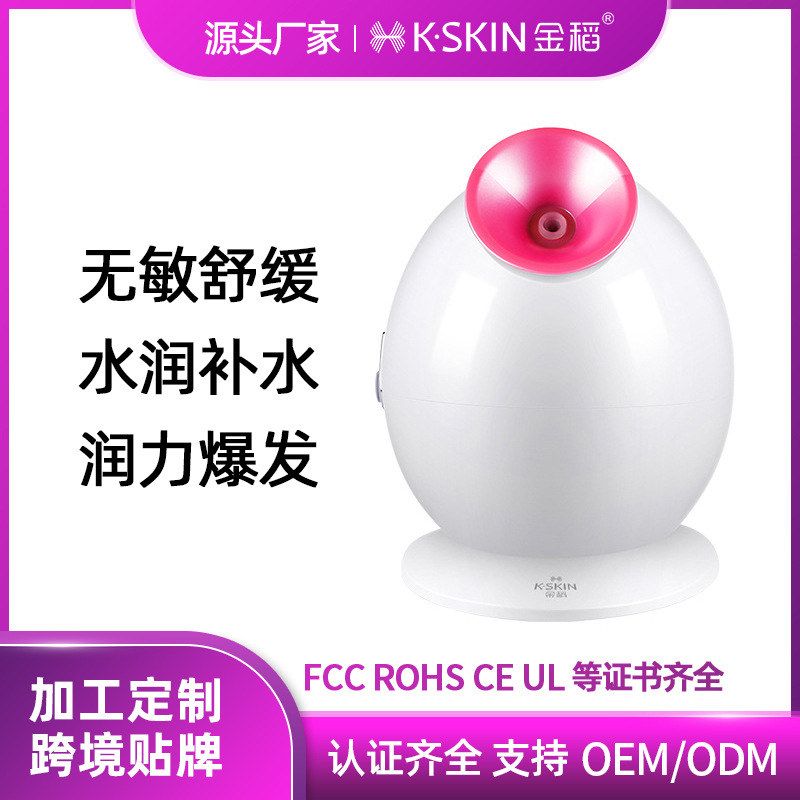 家用补水110V美容院喷雾机蒸金稻脸器英规KD233美规跨境热喷欧规