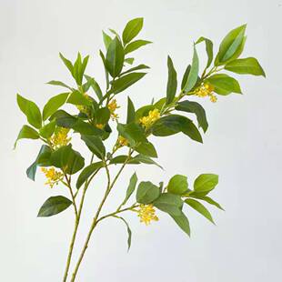 仿真桂树叶长枝造景树装饰叶假落地造酒店卉树