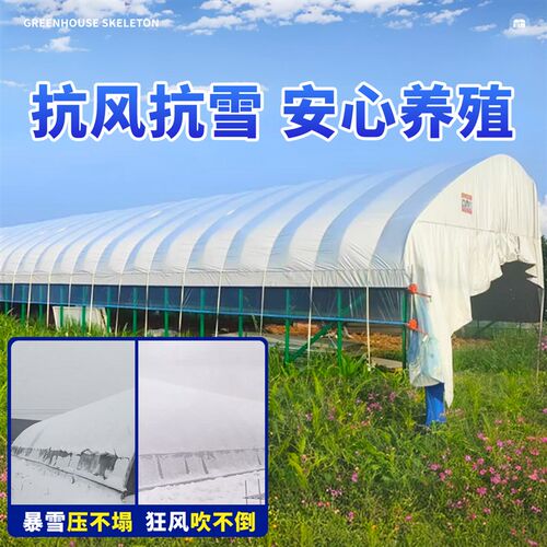 养殖大棚骨架钢管全温室大棚支架子蔬菜种植农业镀锌管