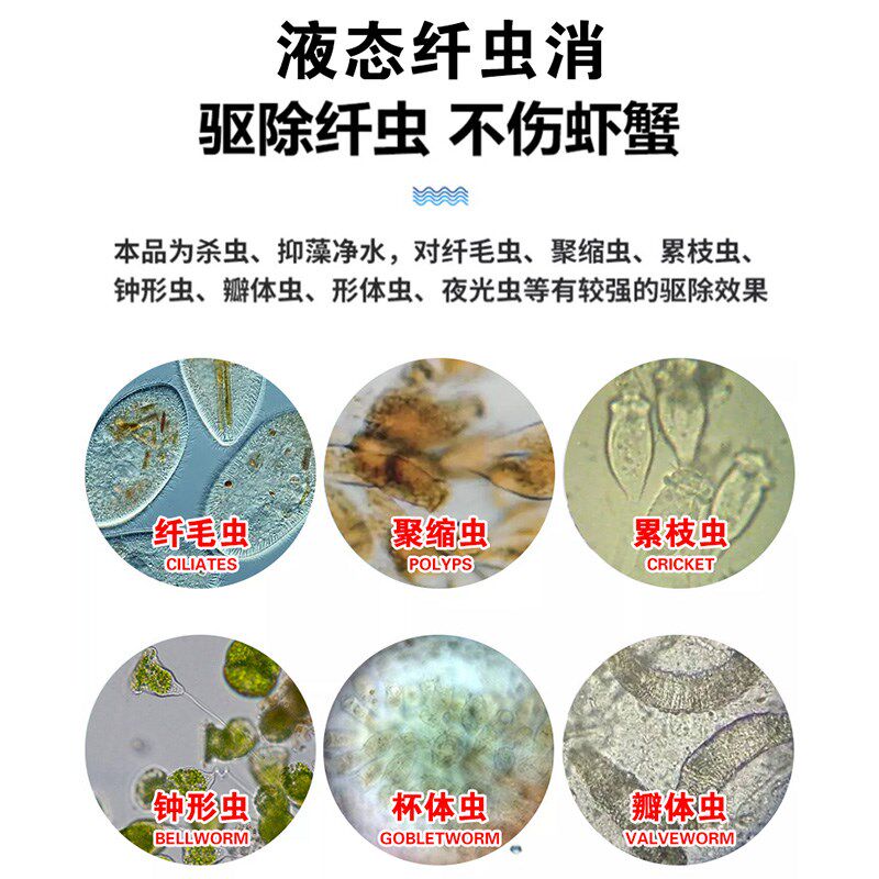 纤虫净水产养殖专用消杀灭水体聚缩虫钟形虫纤毛虫杀虫药鱼虾蟹药