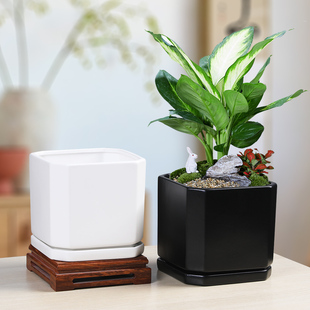 花盆陶瓷简约带托盘亚光方形大号家用蝴蝶兰榕树盆栽多肉创意阳台