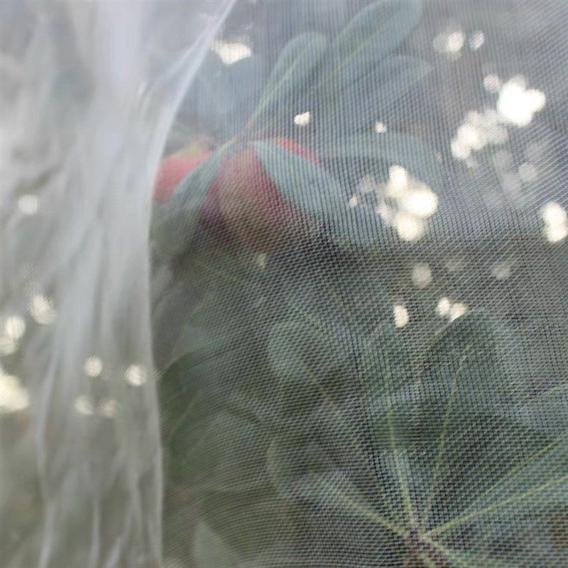 果树防虫网罩子嘉宝果树网莲雾果罩子养殖防鸟蔬菜大棚防虫用的网,农机/农具/农膜,农用防鸟网,淘宝优惠券,粉丝福利购,淘宝优惠卷