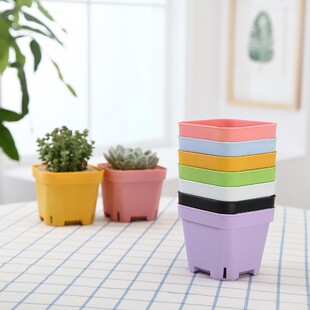 加厚小白方多肉花盆肉肉植物塑料方形叶插盆育苗盆大黑方盆十方盆