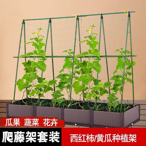 菜园蔬菜爬藤架网植物种植t攀爬支架杆种菜丝瓜黄瓜豆角架园艺架