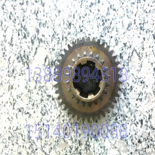 Z30G50 沈阳机床配件 中捷摇臂钻床 Z3040 齿轮41319齿数20