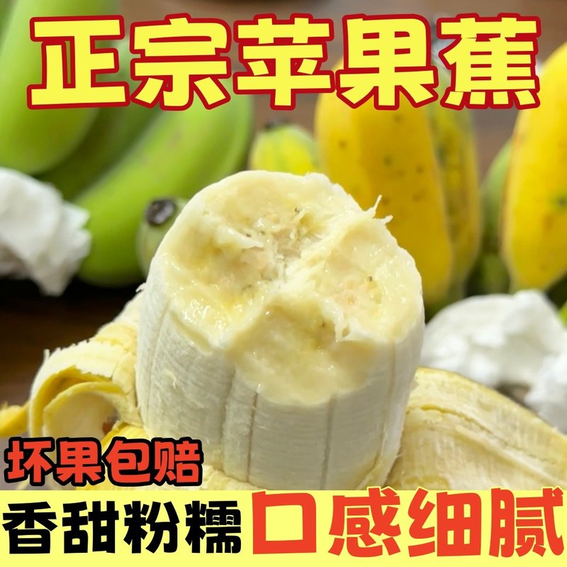 【净重】正宗苹果蕉粉蕉软糯短胖香甜香蕉产地现摘现发应季热带水