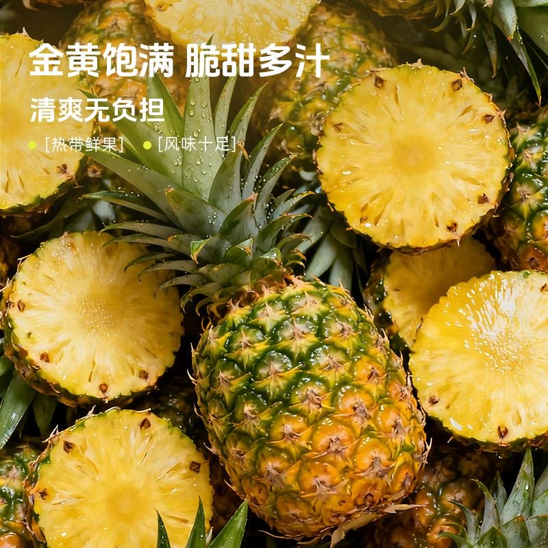 蜂解黄皮菠萝蜂蜜水聚餐黄皮馥郁菠萝鲜爽配料干净分离饮料