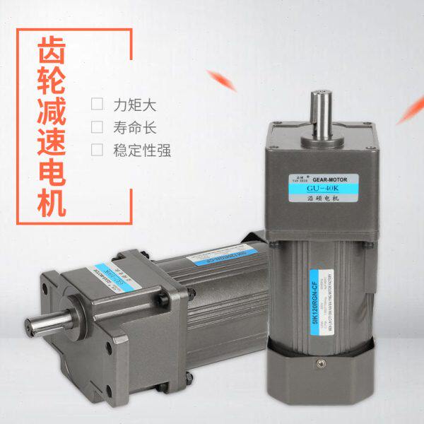 60W/90W/120W单相调速烤全羊卤猪自动化流水线低转速电机220/380V