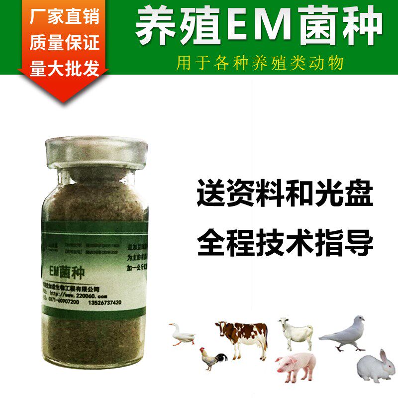 菌种养殖益生菌赛鸽肉鸽活菌原种鸡兔猪饮水拌料调肠道活菌粉