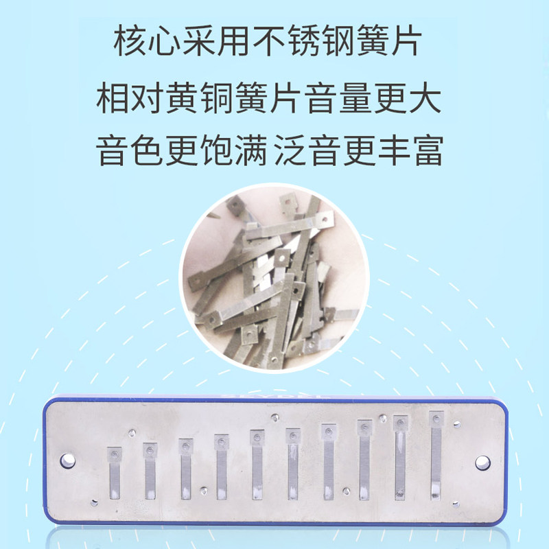 赛德十布鲁斯口琴蓝调初学者学生级