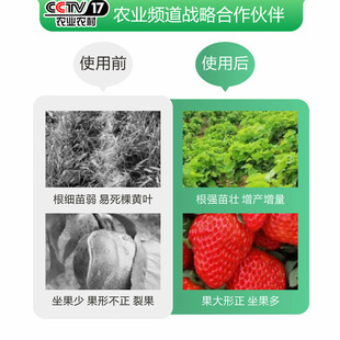 甲壳素海藻精鱼蛋白生根壮苗水溶肥桶装大量元素水溶肥料根多多