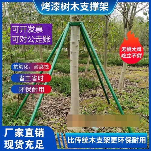 树木支撑架镀锌钢管绑带卡扣大树支伸缩杆防风苗木支架园林支撑器
